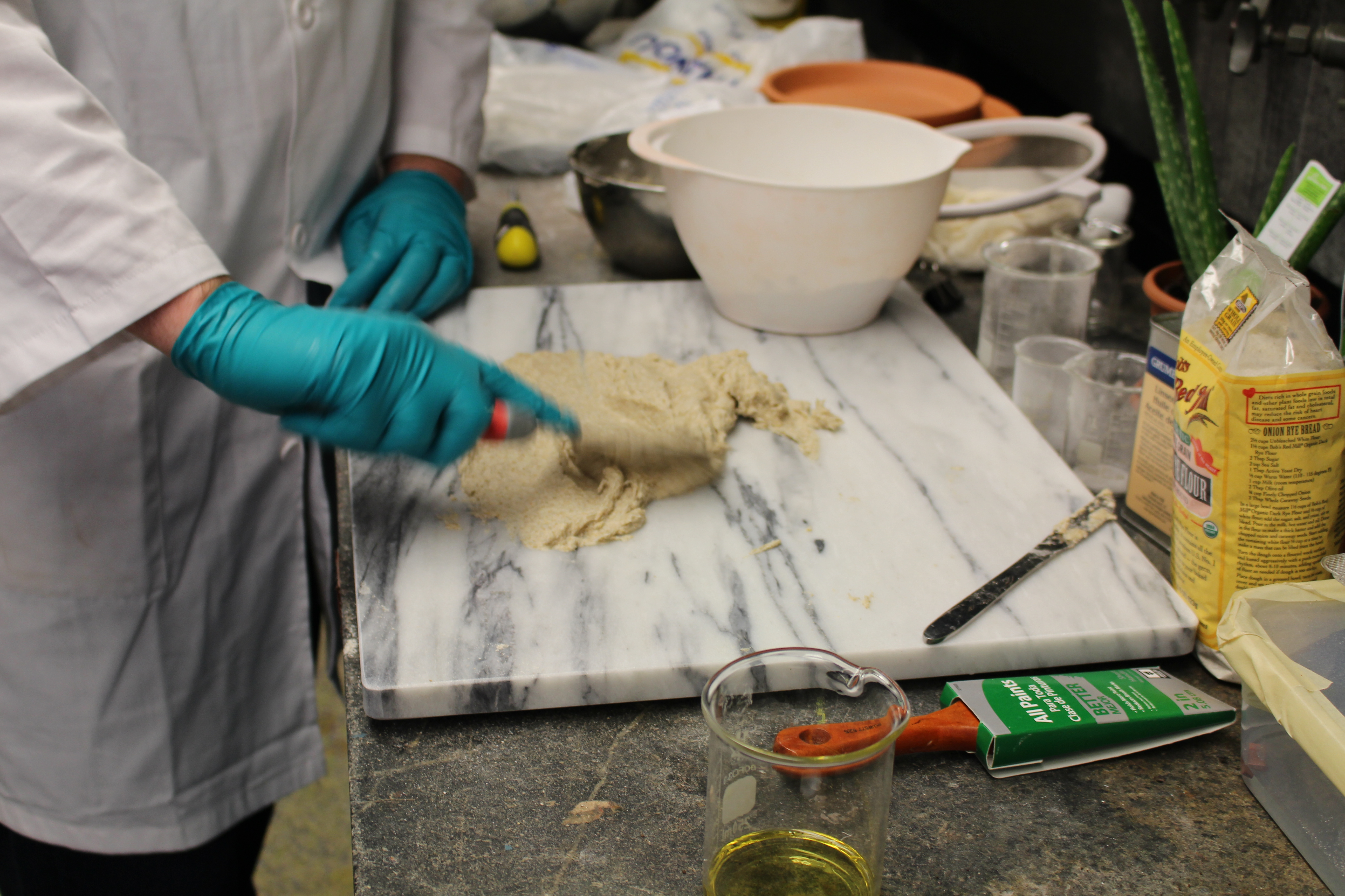 2014_001Fall_labsem_making_stucco_11.24.2014-15.JPG