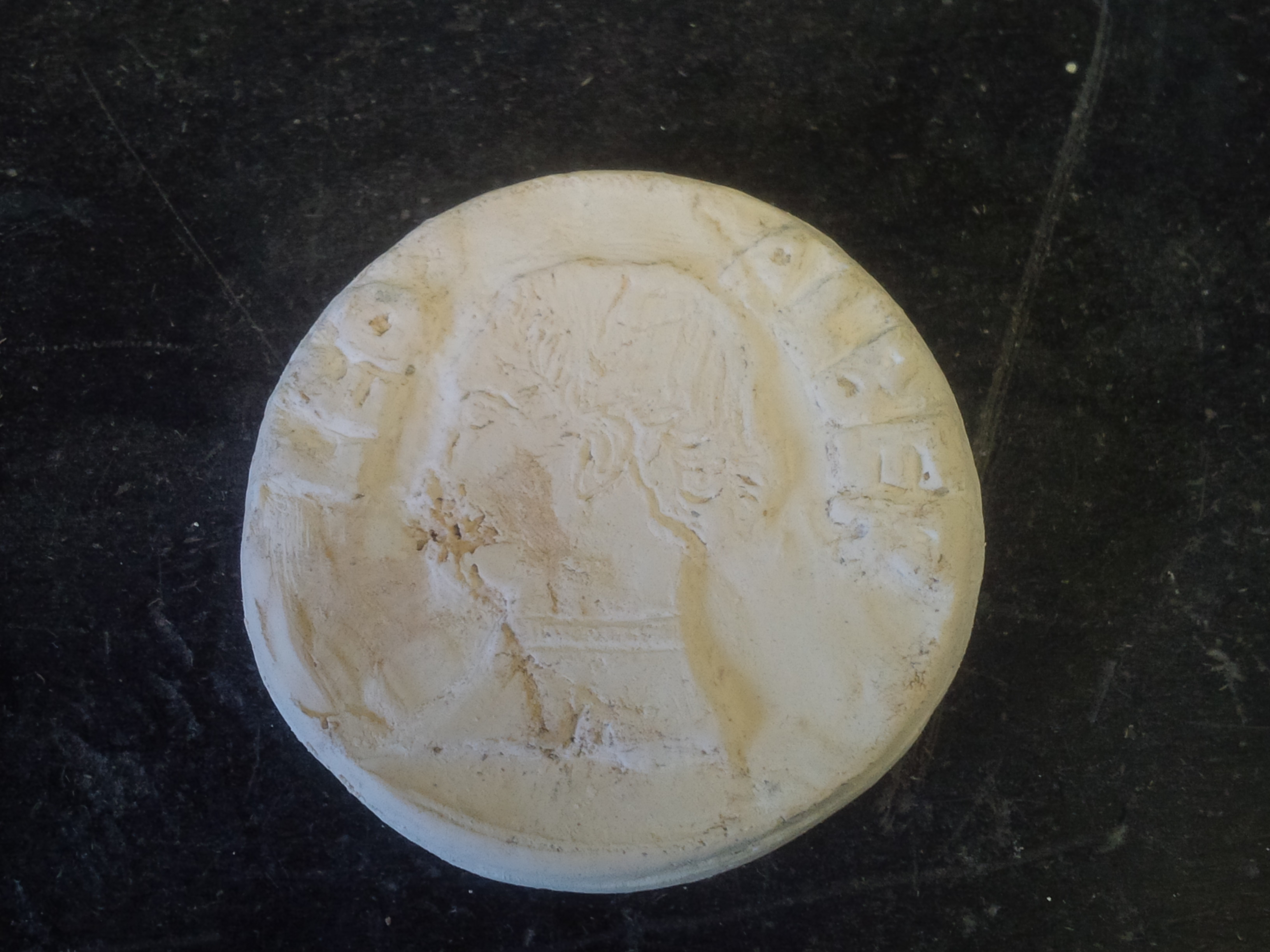 2014_001Fall_labsem_medal_RC_Plaster _11_10132014.jpg