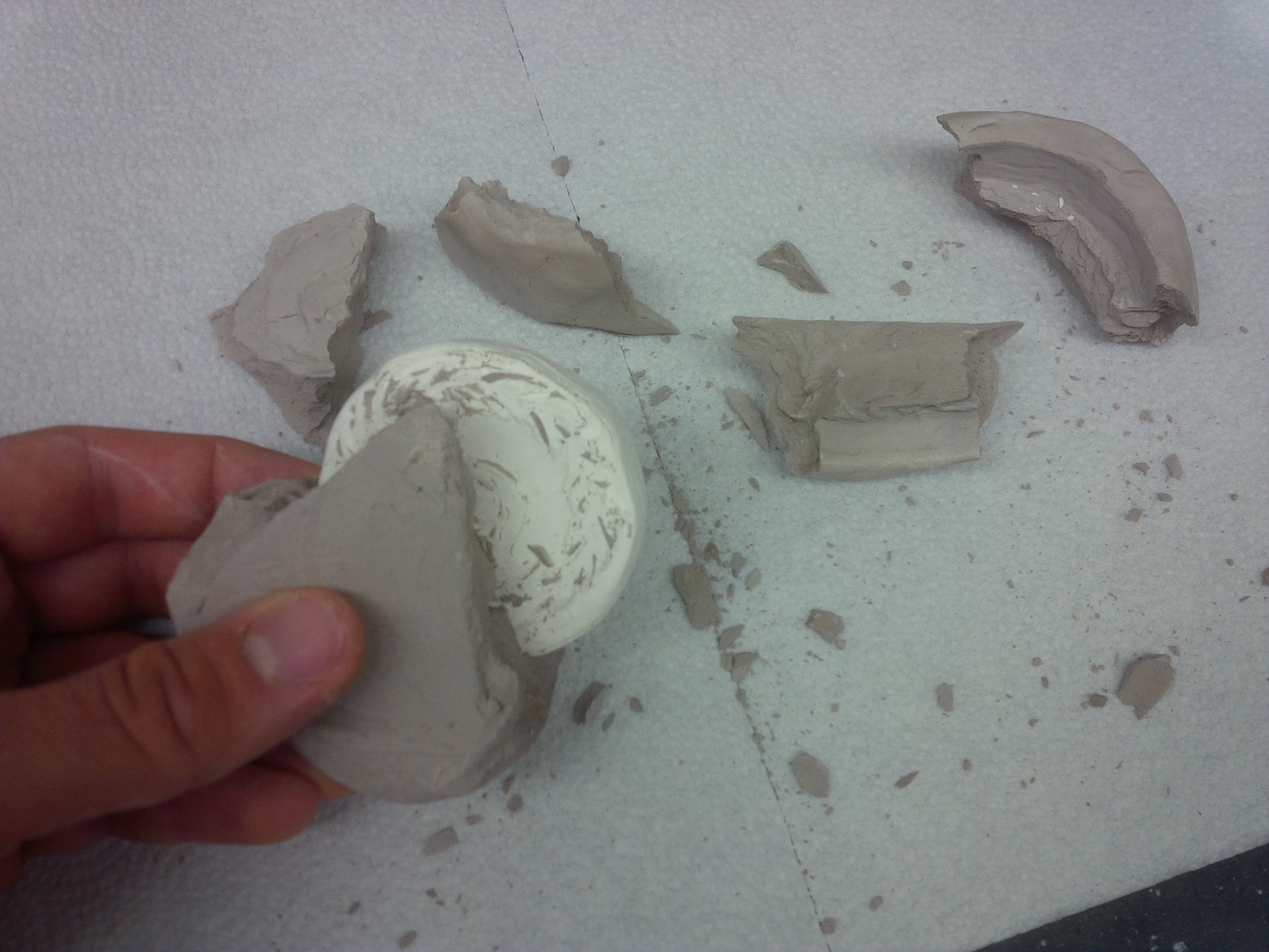 2014_001Fall_labsem_medal_RC_Plaster _2_10132014.jpg