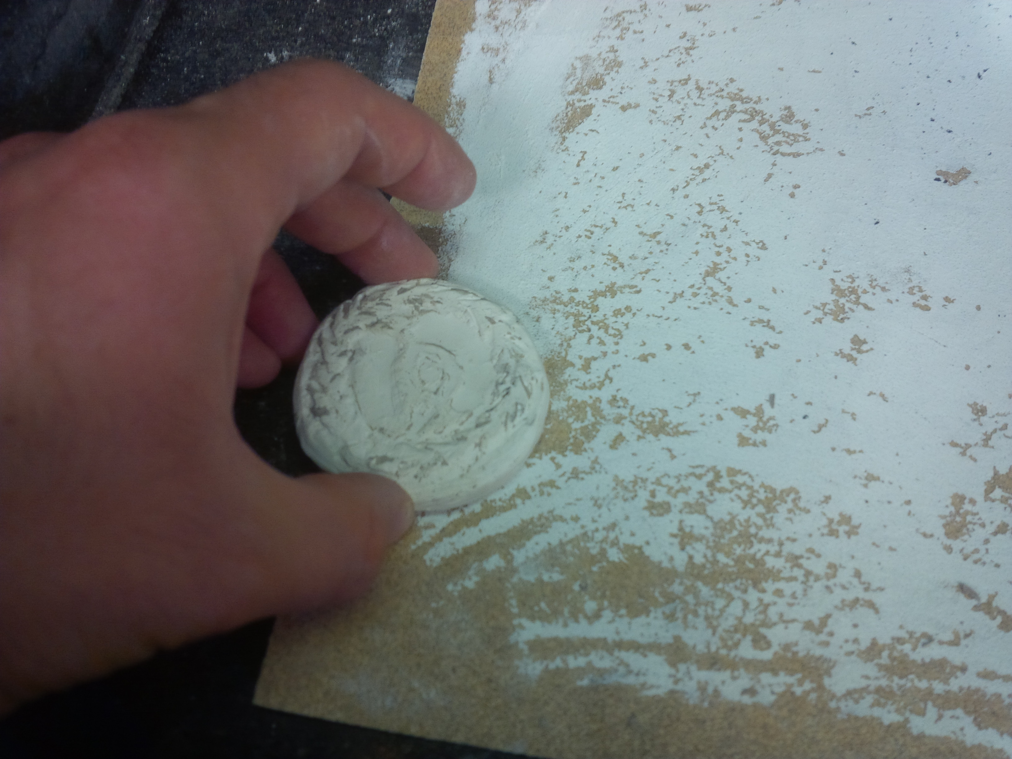 2014_001Fall_labsem_medal_RC_Plaster _9_10132014.jpg