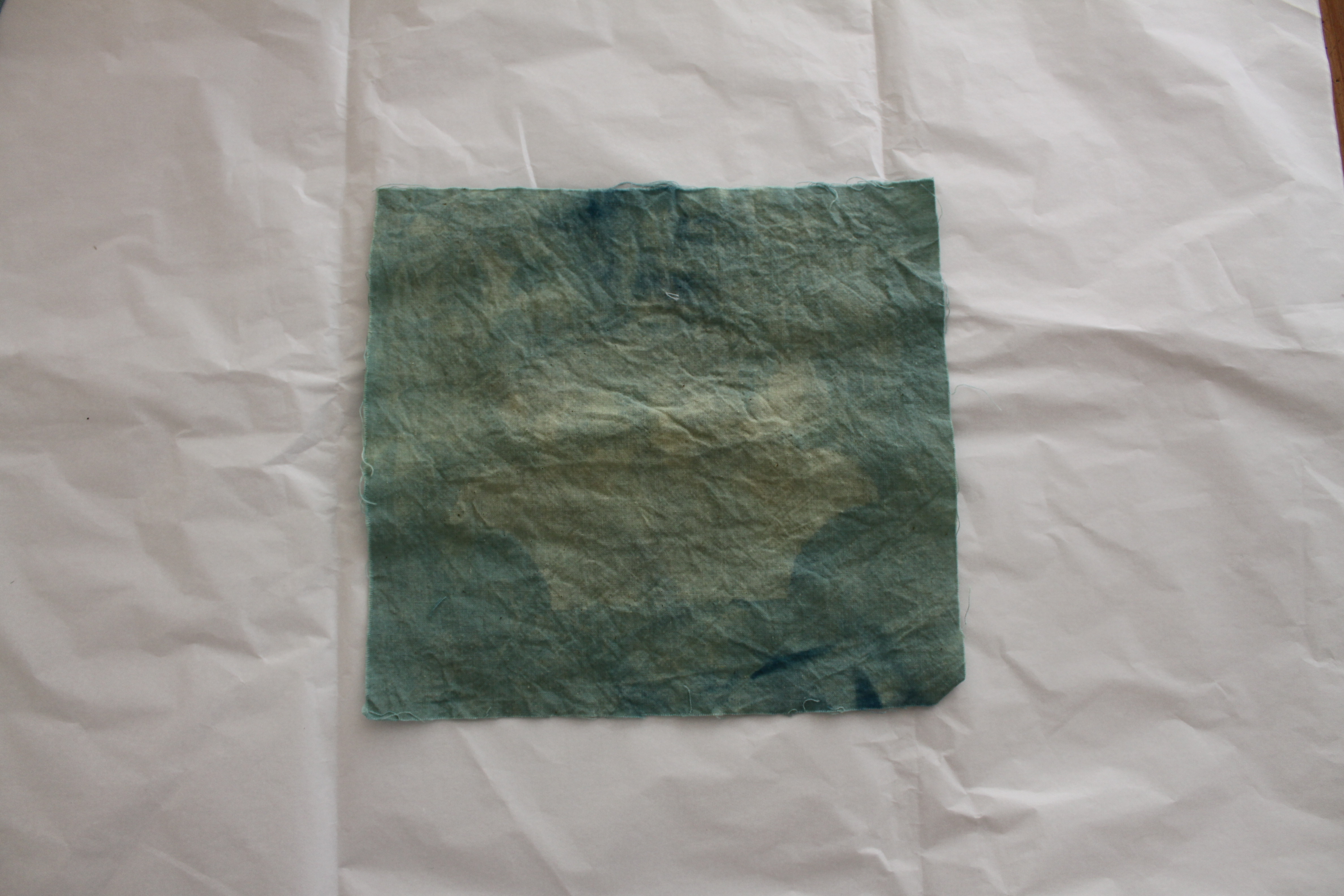 2015_001fall_labsem_yi_dyeing blue_20051130_17.JPG