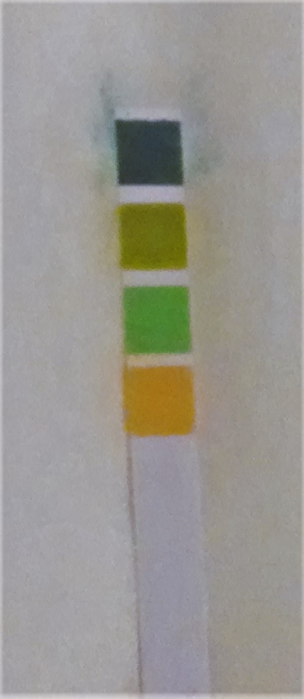 Rosenkranz FA15 Urine pH strip 20150912.jpg