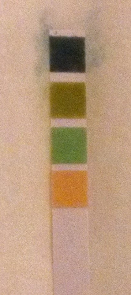 Rosenkranz FA15 Urine pH strip 20150913.jpg