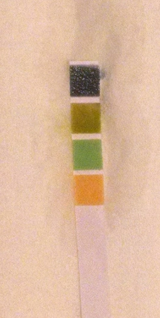 Rosenkranz FA15 Urine pH strip 20150914.jpg